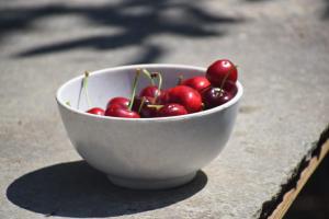 Fotografie z fotogalerie ubytování Pine Wood v destinaci Kotgarh