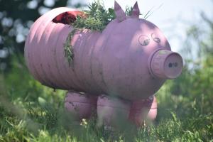 a pink fire hydrant with a face on it in the grass at Pine Wood in Kotgarh