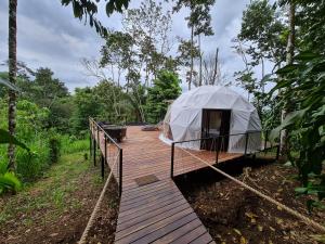 Gallery image of Moonlight Glamping Arenal in Fortuna