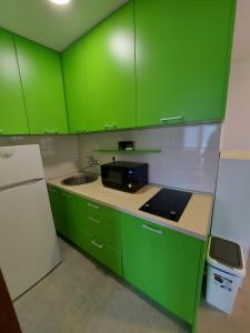 a green kitchen with a sink and a microwave at MANONI APARTMANI in Kumbor