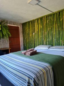 Кровать или кровати в номере Pousada e Hostel Paraíso Capitólio