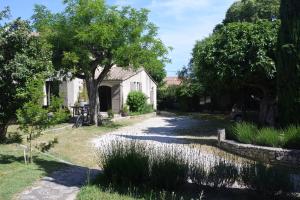 une maison avec un étang dans la cour dans l'établissement Les Mazets de Pascale, à Saint-Rémy-de-Provence