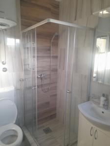ein Badezimmer mit Dusche, Toilette und Waschbecken in der Unterkunft Apartman Zivanovic in Foča