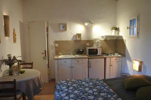 una pequeña cocina con fregadero y microondas en Les Mazets de Pascale, en Saint-Rémy-de-Provence