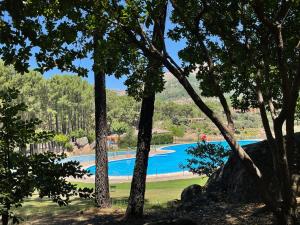a view of a swimming pool through the trees at Bodeguita del Tiétar in Pedro Bernardo