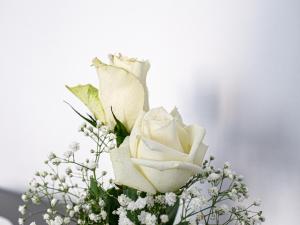 un ramo de flores blancas en un jarrón en biRose B&B Affittacamere, en Otranto
