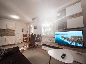 - un salon avec une grande télévision à écran plat dans l'établissement RIAD Apartments, à Zgornje Škofije