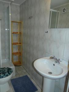 a bathroom with a sink and a toilet at Gościniec nad potokiem in Jurgów