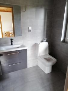 a bathroom with a white toilet and a sink at Gościniec nad potokiem in Jurgów +12 photos