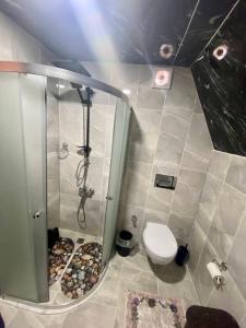 Vonios kambarys apgyvendinimo įstaigoje Elabay Dağ Evleri