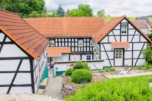an aerial view of a house with orange roofs at Thüringer Tannenhof Ferienwohnungen in Geroda