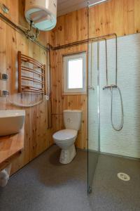 uma casa de banho com um WC e uma cabina de duche em vidro. em Domek Kaszuby em Pobłocie