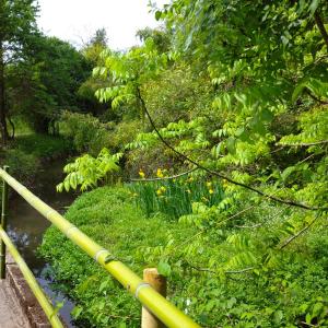Les roulottes du Moulin de Palet外面的花园