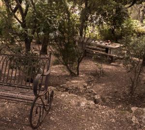 Κήπος έξω από το Nel Giardino dei Pesci Volanti