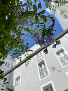 Fotografie z fotogalerie ubytování Hotel San Miguel Menorca v destinaci Mahón