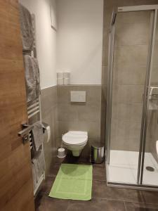 a small bathroom with a toilet and a shower at Appartement Kuschelzeit Jansenbichl in Wagrain