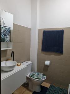 La salle de bains est pourvue de toilettes, d'un lavabo et d'une serviette bleue. dans l'établissement Studio Ça Mconvient, à Cayenne