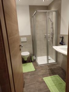 a bathroom with a shower and a toilet and a sink at Appartement Kuschelzeit Jansenbichl in Wagrain