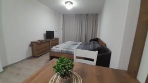 een kamer met een bed en een tafel met een potplant bij Tija Apartments in Ohrid