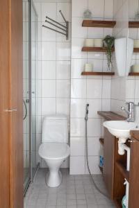 a bathroom with a toilet and a shower and a sink at 2ndhomes 1BR Charming City apartment in Yrjönkatu in Helsinki