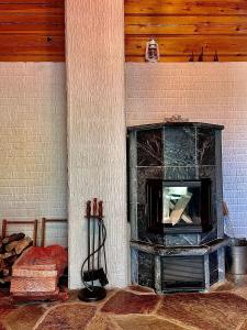 a living room with a fireplace with a tv at Costa Villa in Tahkovuori