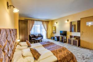 a hotel room with a large bed and a television at Pensiunea Ambient in Braşov
