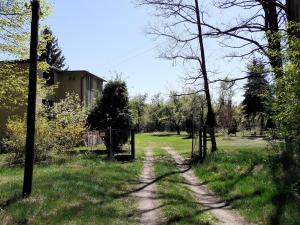 a dirt road in a field with a fence at Zwolaki in Ulanów