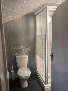 a bathroom with a toilet and a walk in shower at Britannia inn in Sherborne