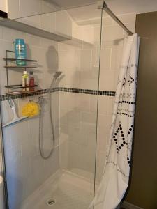 a shower with a glass door in a bathroom at Studio de Nini in Rousson