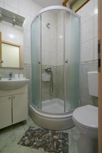 a bathroom with a shower and a toilet and a sink at Guesthouse Pavla in Goveđari