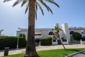 a palm tree in front of a building at Casas Blancas Parque Montroig in Miami Platja