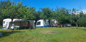 สวนหย่อมนอก OffCamping Bobicesti - land for camping, with water source and without electricity -Doar teren pentru campare cu sursa de apa , fără electricitate ! Self check-in !
