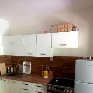 Kuchyňa alebo kuchynka v ubytovaní Apartmany Milano s výrivkou a terasou