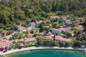 uma vista aérea de um resort com uma piscina em Guesthouse Pavla em Goveđari