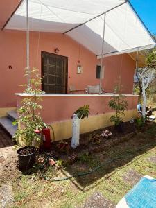 Сад в Beach House +2 фотографии