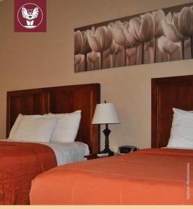 a hotel room with two beds and a lamp at HOTEL PRIMAVERA BOUTIQUE in San Pedro Sula