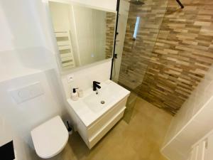 a bathroom with a sink and a toilet and a mirror at Mon littoral ( rez-de-jardin ) 100 m de la plage in Le Pradet