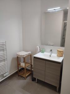 ein Bad mit einem Waschbecken und einem Spiegel in der Unterkunft T2 avec balcon tout équipé 300m marché central in Royan