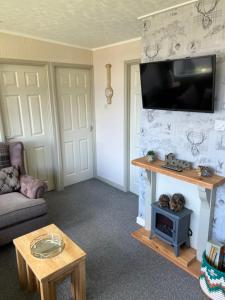 a living room with a couch and a tv on a wall at Woodlands Hedgehog Chalet, Bideford Bay Holiday Park in Bucks Mills