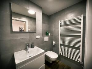 łazienka z umywalką, toaletą i lustrem w obiekcie U Králíka, přízemní bezbarierové apartmány A,B,C,D - 50 metrů od vleku - přejdete v lyžácích, pod bobovou dráhou, parkování zdarma, lyžárna s vysoušeči bot, w mieście Dolní Morava +37 zdjęć
