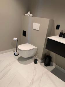 Łazienka z białą toaletą i umywalką w obiekcie Trolltunga Panorama w mieście Tyssedal