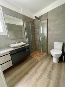 uma casa de banho com um WC, um lavatório e um chuveiro em Le Fenouillet Cottage proche des Grands Buffets em Narbona