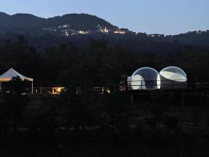 La Bolla dell'Usignolo