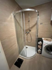 a shower with a glass door in a bathroom at Apartma Bohinj in Bohinj