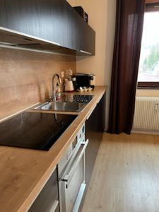 uma cozinha com um lavatório e uma bancada em Apartma Bohinj em Bohinj