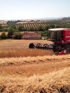 a red tractor in a field of hay at Piane Del Bagno in Saturnia