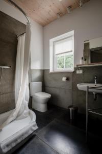 a bathroom with a toilet and a sink at Zielone Wzgórze in Sulistrowiczki