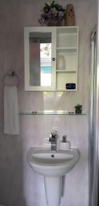 a bathroom with a white sink and a mirror at Enjoy your stay at Chorley Road in Droitwich