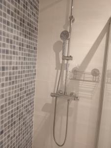 y baño con ducha con cabezal de ducha. en Apartamentos Tras dos Fornos, en Chantada