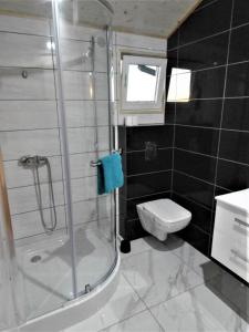 a bathroom with a shower and a toilet and a sink at Słoneczne domki nad morzem in Darłowo